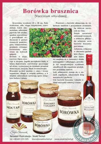 Borówka  całe Owoce w Soku 360g - Stefan Skwierawski