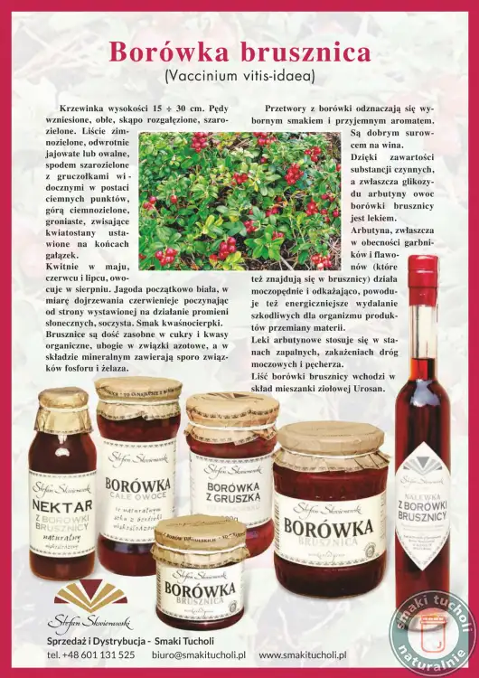 borówka brusznica
